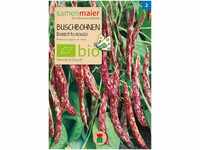 Samen Maier 840 Buschbohne (Auskernbohne) Borlotto rosso (Bio-Buschbohnensamen)