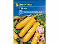 Kiepenkerl 2848 Zucchini Soleil F1, sehr zart und aromatisch, nicht rankend,...
