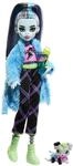 MONSTER HIGH Puppe und Sleepover-Zubeh&ouml;r, Frankie Stein Puppe mit Haustier Hund