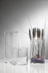 Sandra Rich 360092 Glasvase, Glas, transparent, 19 x 19 x 20 cm