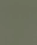 Rasch Tapete 752687 - Vliestapete mit Lederoptik in Gr&uuml;n aus der Kollektion African