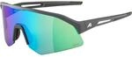 ALPINA, midnight-grey matt