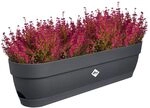 elho Vibia Campana Balkonkasten 70 mit Wasserreservoir - Blumentopf Balkon - 100%