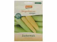 Bingenheimer Saatgut - Zuckermais Golden Bantam - Gemüse Saatgut / Samen