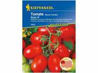 Kiepenkerl 2833 Salat-Tomate Roma VF (Eiertomate), mittelhohe...