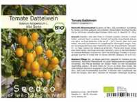 Seedeo® Tomate Dattelwein (Lycopersicum esculentum) 20 Samen BIO