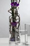 Sandra Rich Vase, rund, 9 x 20 cm (Durchmesser x H&ouml;he) e. 12
