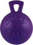 Jolly Pets Tug-n-Toss Robuster Hundespielzeugball mit Griff, 11,4 cm/klein, Violett