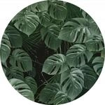 Komar DOT runde und selbstklebende Vlies Fototapete Novel Monstera - &Oslash; Durchmesser