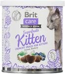 Brit Care Snack Superfruits K&auml;tzchen Huhn Kokos Heidelbeere 100 g 100