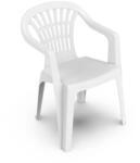 Pengo Lyra Monoblock Armchair in Plastic, White