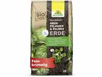 Neudorff NeudoHum Grünpflanzen- & PalmenErde – Torffreie Bio Erde, fördert