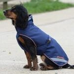 Bucas Therapy Dog Rug - 55 cm