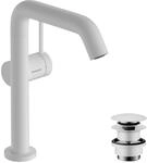 hansgrohe Tecturis S Fine - Waschtischarmatur schwenkbar mit Push-Open Ablauf,