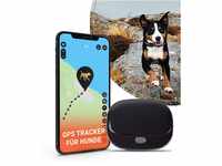 PAJ GPS PET Finder 4G - GPS Tracker für Hunde - LIVE Ortung - Sicherheit für...