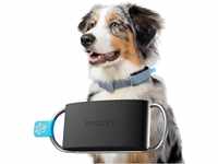 Invoxia Minitailz - Gesundheits- und GPS-Tracker für Hunde #1 - Herz- und Atemscans