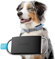 Invoxia Minitailz &ndash; Nr. 1 GPS und Gesundheitstracker f&uuml;r Hunde &ndash;