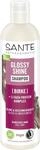 SANTE Naturkosmetik Glossy Shine Shampoo Bio-Birkenblattextrakt + 3-Fach Protein