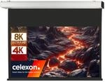 celexon Expert XL Motor-Leinwand 200" | 450x253 cm 16:9