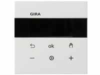 GIRA S3000 RTR Display Flächenschalter 5393112