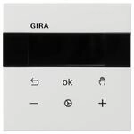 S3000 RTR Display Fl&auml;chenschalter GIRA 5393112