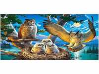 Castorland B-53322 B-53322-Owl Family Puzzle 500 Teile, Bunt, 35 x 25 x 5 cm