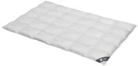 Spessarttraum Daunendecke 135x200 cm Ganzjahr normal | 100% Daunen | 630g