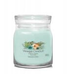 Yankee Candle Aloe & Agave Medium Jar