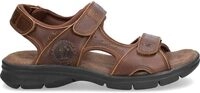 Panama Jack Salton Basics, Herren Peeptoe Sandalen, Braun (Cuero C4), 45 EU (11 UK)