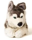 Uni-Toys - Husky grau, liegend - 43 cm (L&auml;nge) - Pl&uuml;sch-Hund, Haustier -