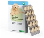 cp pharma VivoSyn | 30 Kapseln | Di&auml;t-Erg&auml;nzungsfuttermittel f&uuml;r Hunde 