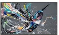 Philips 65BDL3511Q 165 cm 65" Diagonalklasse 163,9 64.5" sichtbar Q-Line...