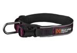 Non-stop dogwear ROAM Collar | solides, gepolstertes Halsband f&uuml;r Jede Aktivit&auml;t,