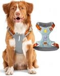 Woolly Wolf Alpha 360 Dog Harness L Gletschergr&uuml;n - Hundegeschirr f&uuml;r gro&szlig;e...