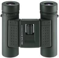 Eschenbach Optik Fernglas Sektor F 10x25 - faltbares Weitwinkel-Fernglas f&uuml;r