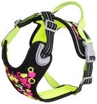 Hurtta Weekend Warrior Neon Hundegeschirr, Brustgeschirr f&uuml;r mittelgro&szlig;e Hunde,