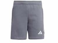 adidas Unisex Kids Shorts (1/4) Tiro 23 League Sweat Shorts, Team Onix, HZ3014,...