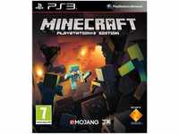 Minecraft (Sony PS3)