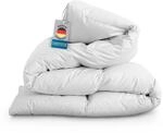 Bestlivings Daunen Federdecke Bettdecke Kassettendecke (1400g) - Winterdecke