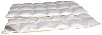Betten Hofmann Premium Daunendecke Daunenbett leichte Ganzjahresdecke, 6x8,...