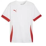 PUMA teamGOAL Matchday Jersey