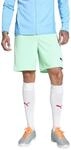 PUMA teamGOAL Shorts, Unisex-Erwachsene Gestrickte Shorts, Fresh Mint-PUMA Black,