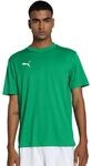 PUMA teamGOAL Jersey