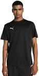PUMA teamGOAL Jersey