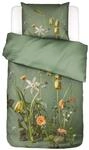 ESSENZA Bettw&auml;sche Ficaria Greenish, 135x200 cm + 1x 80x80 cm - 100%