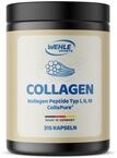 Kollagen Kapseln hochdosiert - 315 St&uuml;ck - 4550mg Collagen Hydrolysat Peptide pro