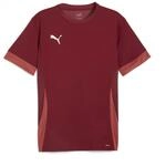 Puma Unisex Teamgoal Matchday Jr Fu&szlig;balltrikot, Team Regal Red-Puma White-Astro Red,
