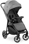 hauck Kinderbuggy mit Snack Ablage & Becherhalter, Shop N Care Grey