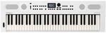 Roland GO:KEYS 5 Music Creation Keyboard | 61 Tasten | ZEN-Core Engine mit &uuml;ber 1000