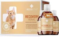RECOACTIV Recovery Renal f&uuml;r Katzen, 3 x 90 ml, hochkalorisches
